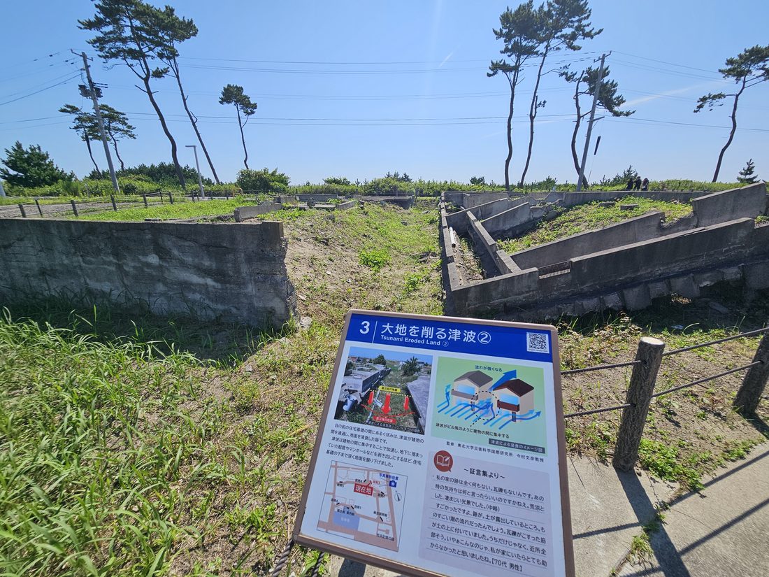 09:34 被沖成深溝的地面與傾斜的松樹
